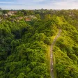 Campuhan Ridge Walk Guide: Ubud's Best Free Morning Stroll