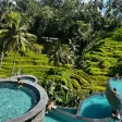 Alas Harum Bali Swing