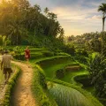 Bali Swing & Scenic Ridge Photo Tour (Central)