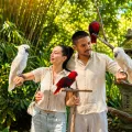 Wild Wildlife & Wacky Views: The Ultimate Family Fun Day in Bali