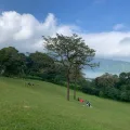 Bedugul Peak & Hidden Waterfalls: The Ultimate North Bali Escape