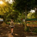 Lake Buyan Bali: A Traveler's Guide to Camping & Twin Lakes Views