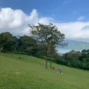 Bedugul Peak & Hidden Waterfalls: The Ultimate North Bali Escape