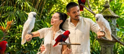 Wild Wildlife & Wacky Views: The Ultimate Family Fun Day in Bali