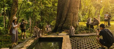 Sacred Monkey Forest: The Ultimate Ubud Guide