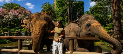 Bali Zoo Guide: Wildlife Encounters and Fun