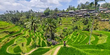 Tegalalang