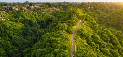 Campuhan Ridge Walk Guide: Ubud's Best Free Morning Stroll