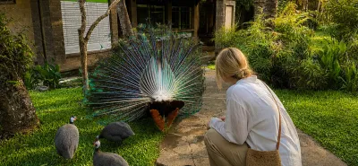 Bali Bird Park