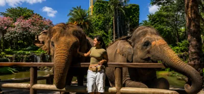 Bali Zoo Guide: Wildlife Encounters and Fun