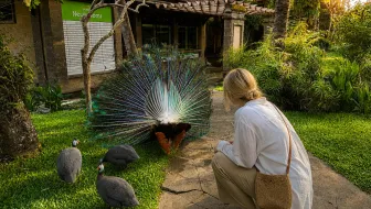 Bali Bird Park