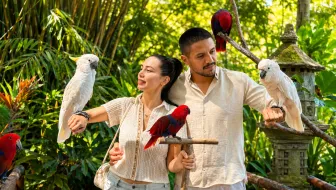 Wild Wildlife & Wacky Views: The Ultimate Family Fun Day in Bali