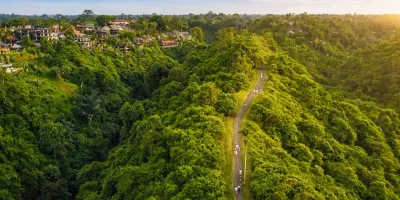 Campuhan Ridge Walk Guide: Ubud's Best Free Morning Stroll