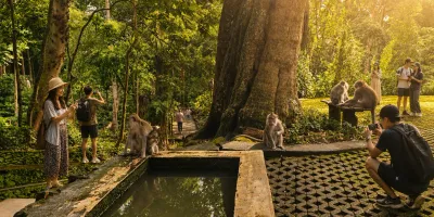 Sacred Monkey Forest: The Ultimate Ubud Guide