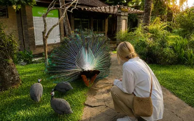 Bali Bird Park