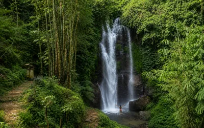 The Ultimate North Bali Waterfall Hunt & Highland Escape
