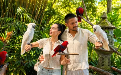 Wild Wildlife & Wacky Views: The Ultimate Family Fun Day in Bali
