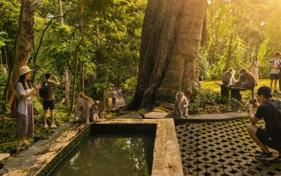 Sacred Monkey Forest: The Ultimate Ubud Guide