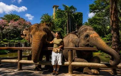 Bali Zoo Guide: Wildlife Encounters and Fun