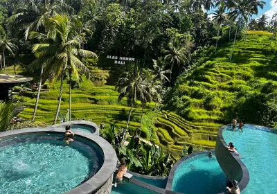 Alas Harum Bali Swing