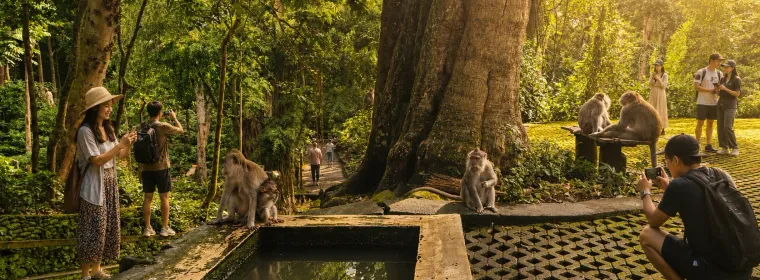 Sacred Monkey Forest: The Ultimate Ubud Guide
