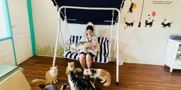 Cat Cafe Ubud (Twist Ubud)