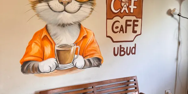 Cat Cafe Ubud (Twist Ubud)