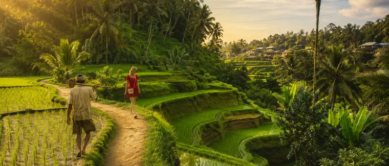 Tegallalang Rice Terrace : Exploring Ubud’s Icon