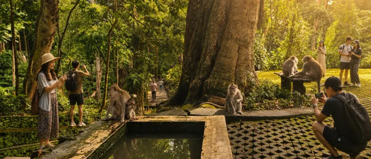 Sacred Monkey Forest: The Ultimate Ubud Guide