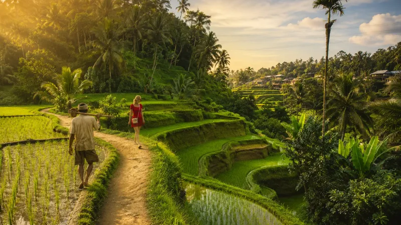 Bali Swing & Scenic Ridge Photo Tour (Central)