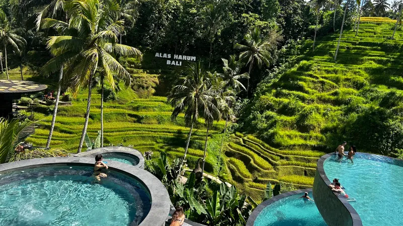 Alas Harum Bali Swing