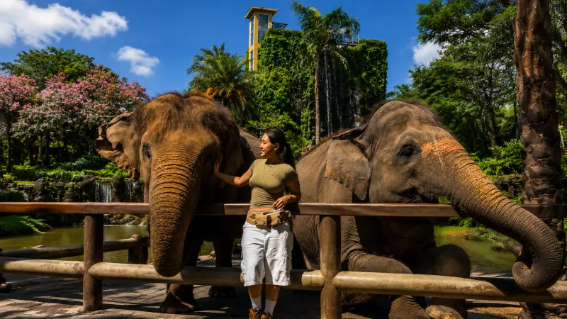 Bali Zoo Guide: Wildlife Encounters and Fun