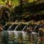 Tirta Empul Temple: A Guide to the Holy Water Ritual