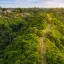 Campuhan Ridge Walk Guide: Ubud's Best Free Morning Stroll