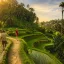 Tegallalang Rice Terrace : Exploring Ubud’s Icon