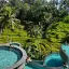 Alas Harum Bali Swing