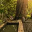 Sacred Monkey Forest: The Ultimate Ubud Guide