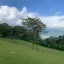 Bali Botanical Garden: A Refreshing Mountain Escape