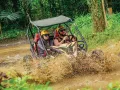 UTV Buggy Adventure Bali | Explore Bongkasa with Pertiwi Adventure