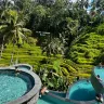 Alas Harum Bali Swing