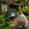 Bali Bird Park