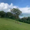 Bali Botanical Garden: A Refreshing Mountain Escape